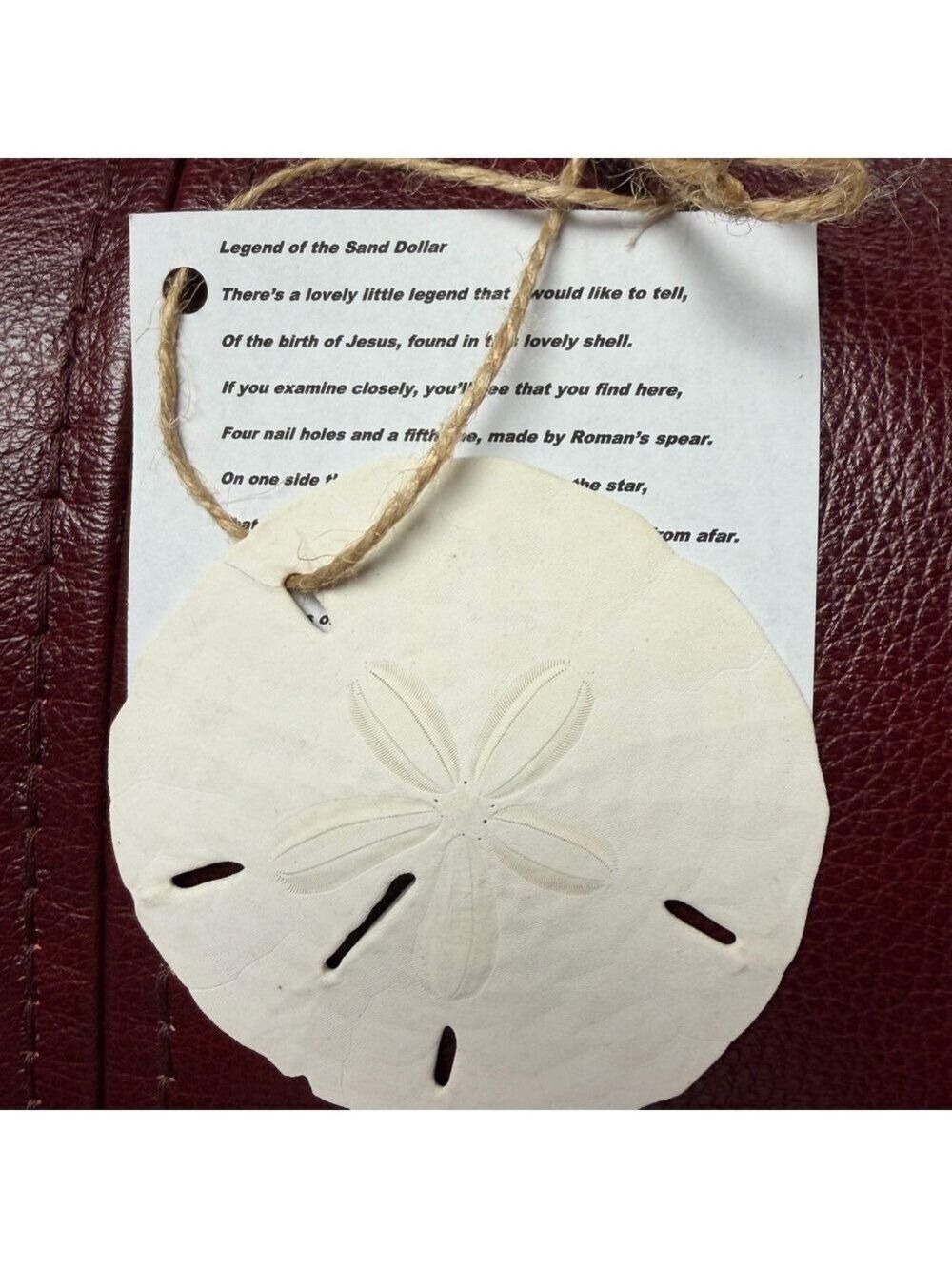 White Sand Dollar Ornament